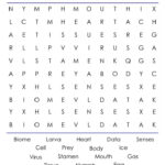 4th Grade Word Search Cool2bKids