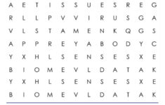 4th Grade Word Search Cool2bKids