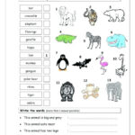 Animals Worksheets For Grade 1 Wild For Kindergarten Preschoolers Pet