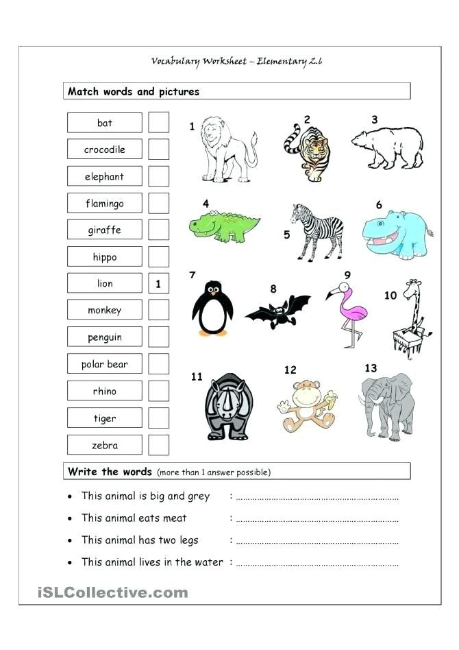 Animals Worksheets For Grade 1 Wild For Kindergarten Preschoolers Pet 