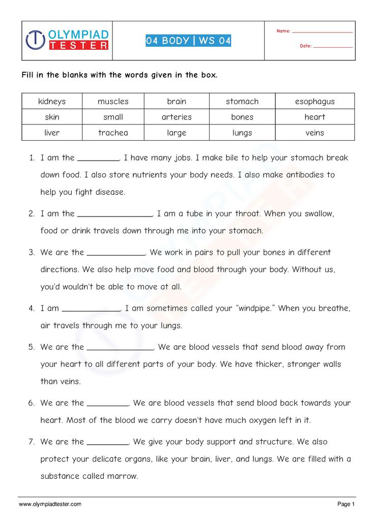 Class 4 Science Human Body Worksheet 04 Human Body Worksheets 