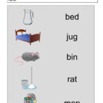 CVC Words Final Worksheet