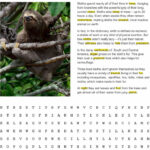 Fact Sheet And Word Search For Three Toed Sloth Habitat