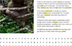 Fact Sheet And Word Search For Three Toed Sloth Habitat