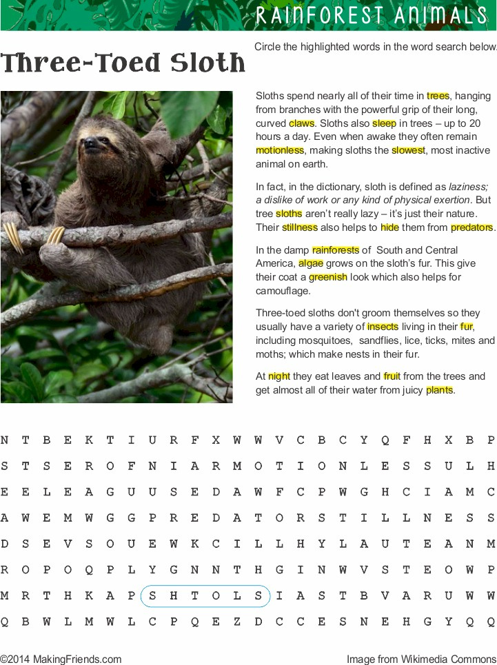 Fact Sheet And Word Search For Three Toed Sloth Habitat 