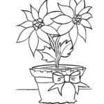 Free Printable Poinsettia Coloring Pages For Kids