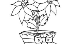 Free Printable Poinsettia Coloring Pages For Kids