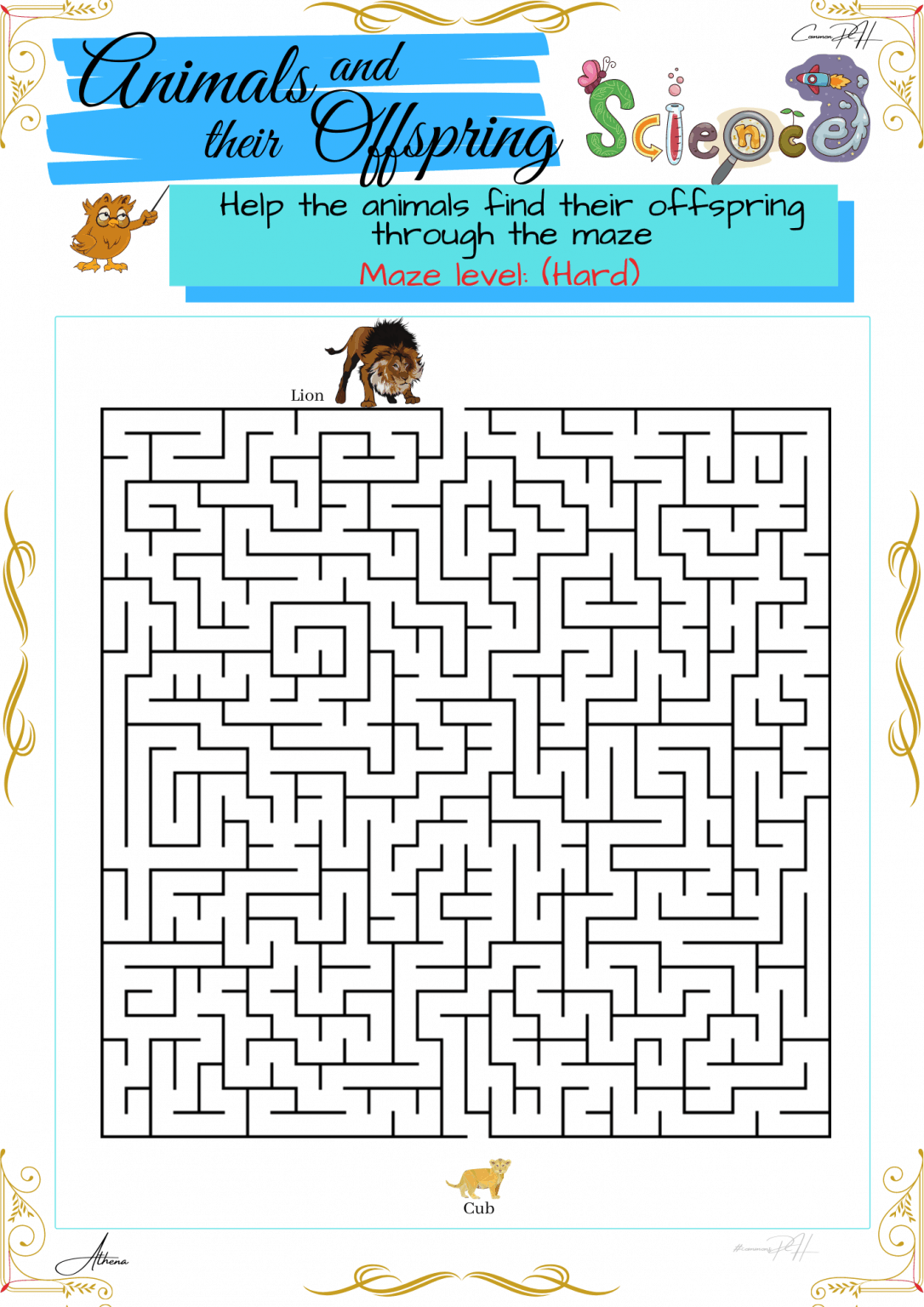 Grade 1 Science Activity Animal Shelter And Their Offspring Maze