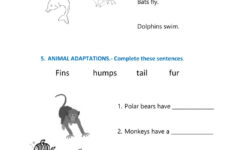 Living Things Interactive Worksheet For PRIMERO DE PRIMARIA
