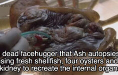 Out Of This World Facts About The Movie Alien 26 Pics