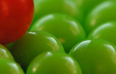 Science Fair Project On Color Blindness Sciencing