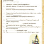Science Process Skills Worksheets Printable Worksheets Master