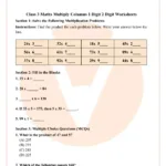 Class 3 Maths Multiply Columns 1 Digit 2 Digit Worksheet Pdf In Multiplication Carryover For Class 3 Live Worksheets